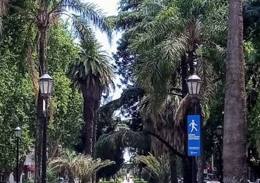 Oroño y  Brown
